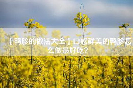 【鸭胗的做法大全】口感鲜美的鸭胗怎么做最好吃？