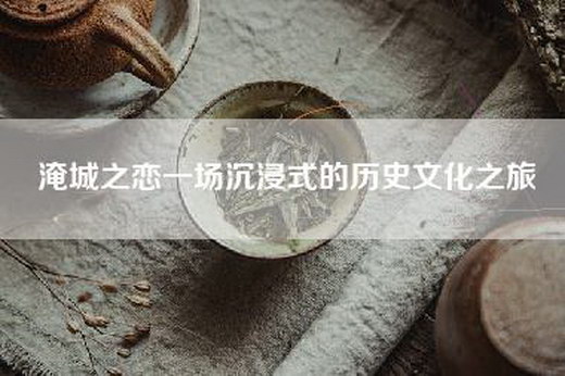 淹城之恋一场沉浸式的历史文化之旅