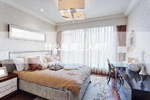 什么是第三人称？