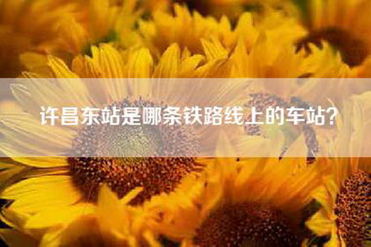 许昌东站是哪条铁路线上的车站？