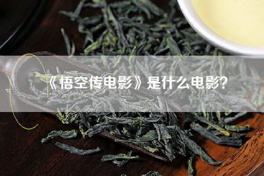 《悟空传电影》是什么电影？