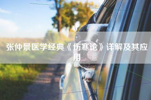张仲景医学经典《伤寒论》详解及其应用