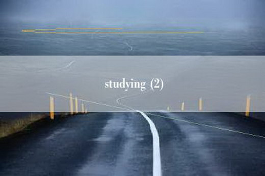 studying (2)
