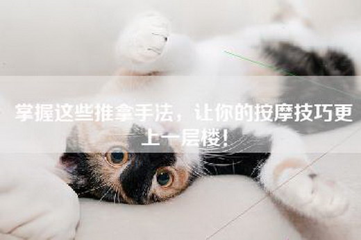 掌握这些推拿手法，让你的按摩技巧更上一层楼！