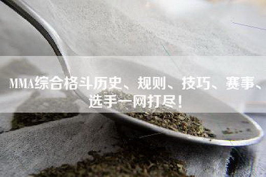 MMA综合格斗历史、规则、技巧、赛事、选手一网打尽！