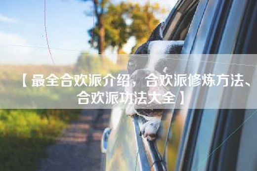 【最全合欢派介绍，合欢派修炼方法、合欢派功法大全】