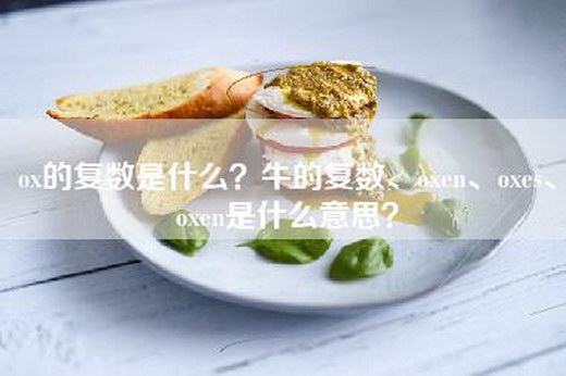 ox的复数是什么？牛的复数、oxen、oxes、oxen是什么意思？