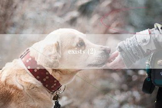 exists (2)