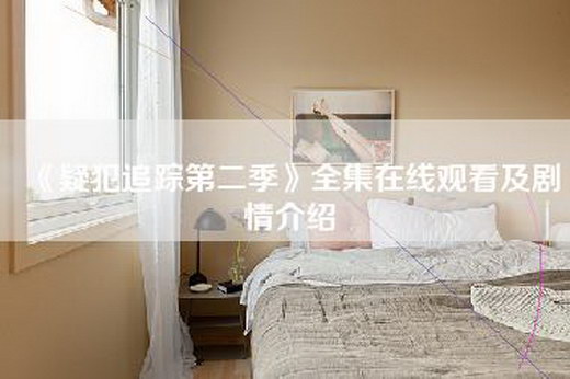 《疑犯追踪第二季》全集在线观看及剧情介绍