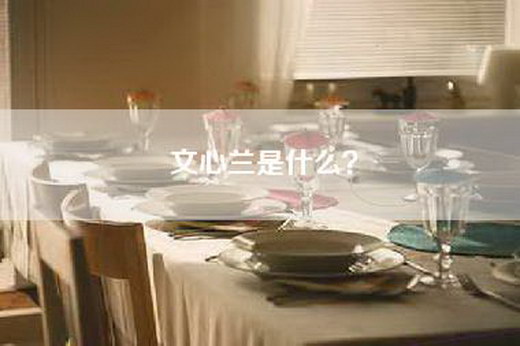 文心兰是什么？
