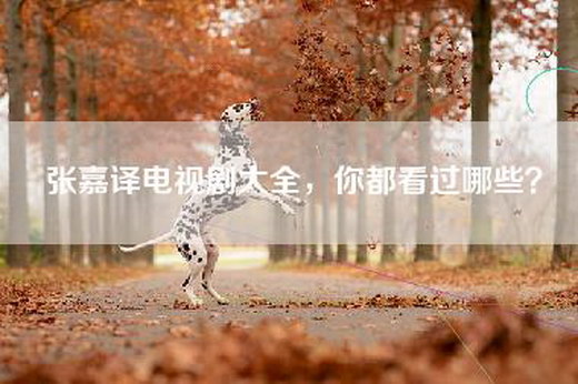 张嘉译电视剧大全，你都看过哪些？