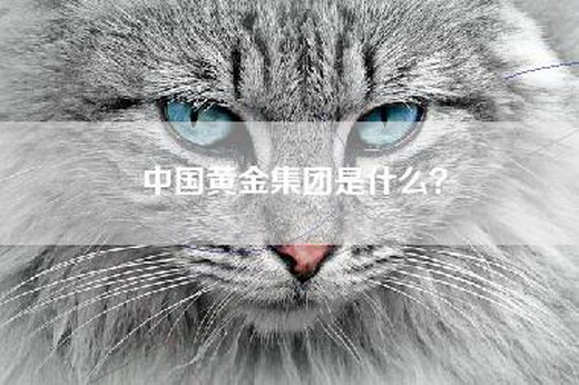 中国黄金集团是什么？