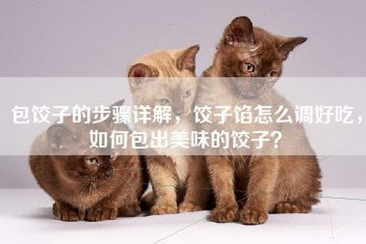 包饺子的步骤详解，饺子馅怎么调好吃，如何包出美味的饺子？