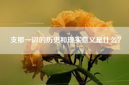 支那一词的历史和现实意义是什么？