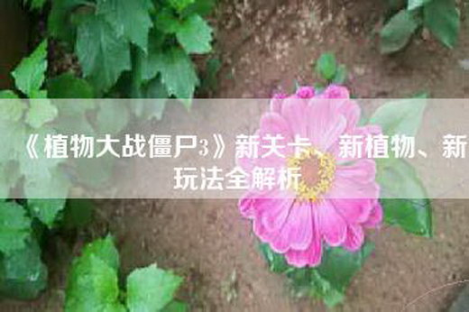 《植物大战僵尸3》新关卡、新植物、新玩法全解析