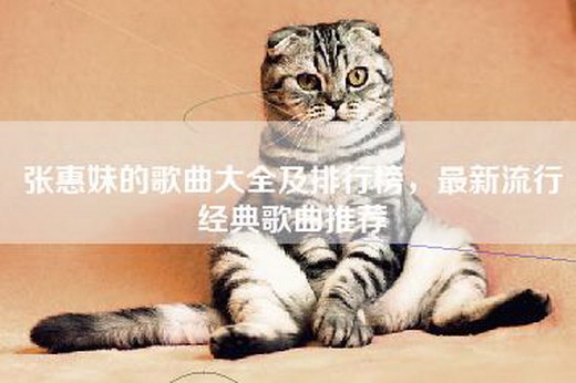 张惠妹的歌曲大全及排行榜，最新流行经典歌曲推荐