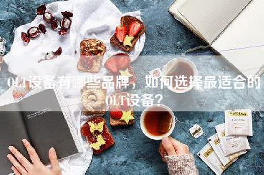 OLT设备有哪些品牌，如何选择最适合的OLT设备？