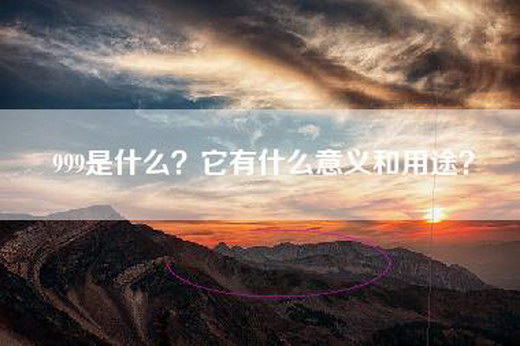 999是什么？它有什么意义和用途？