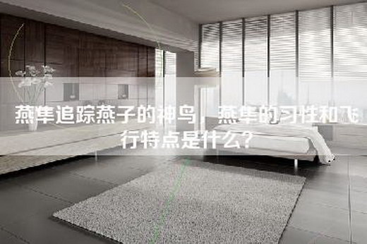 燕隼追踪燕子的神鸟，燕隼的习性和飞行特点是什么？