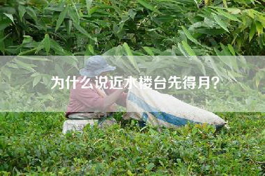 为什么说近水楼台先得月？