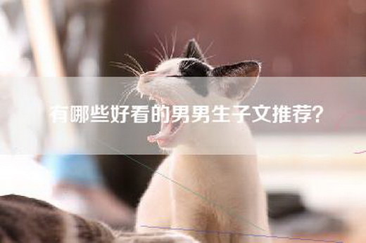 有哪些好看的男男生子文推荐？