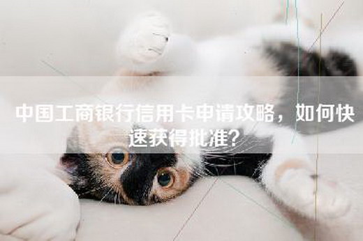 中国工商银行信用卡申请攻略，如何快速获得批准？