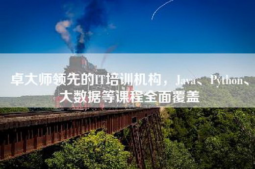 卓大师领先的IT培训机构，Java、Python、大数据等课程全面覆盖