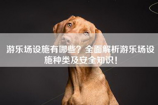 游乐场设施有哪些？全面解析游乐场设施种类及安全知识！