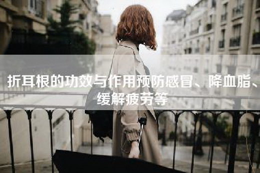 折耳根的功效与作用预防感冒、降血脂、缓解疲劳等