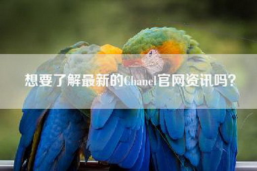 想要了解最新的Chanel官网资讯吗？