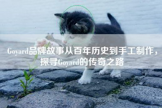 Goyard品牌故事从百年历史到手工制作，探寻Goyard的传奇之路