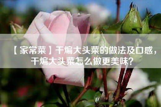 【家常菜】干煸大头菜的做法及口感，干煸大头菜怎么做更美味？
