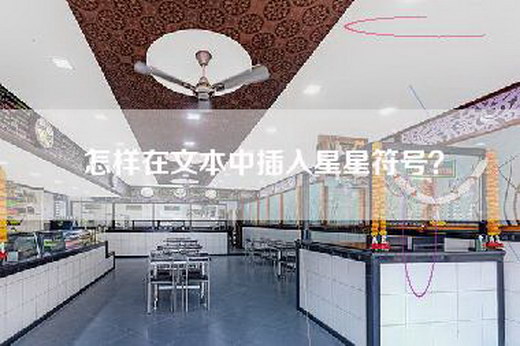 怎样在文本中插入星星符号？