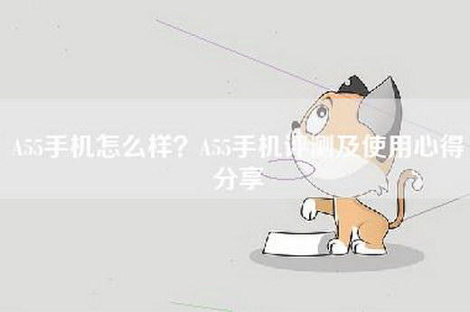 A55手机怎么样？A55手机评测及使用心得分享
