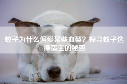 蚊子为什么偏爱某些血型？探寻蚊子选择宿主的秘密