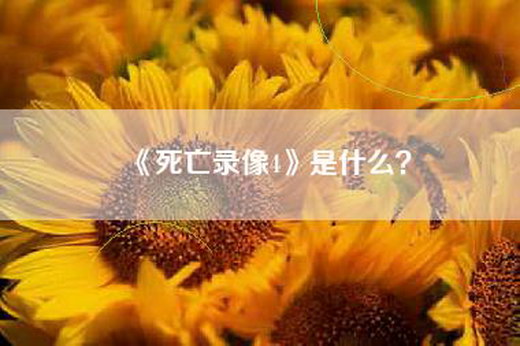 《死亡录像4》是什么？
