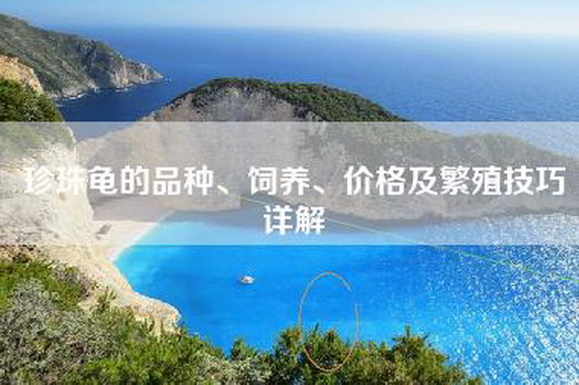 珍珠龟的品种、饲养、价格及繁殖技巧详解