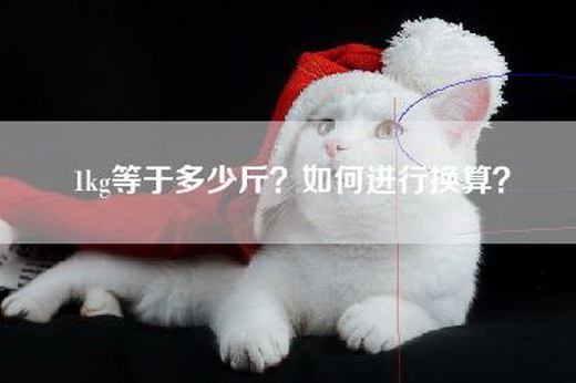 1kg等于多少斤？如何进行换算？