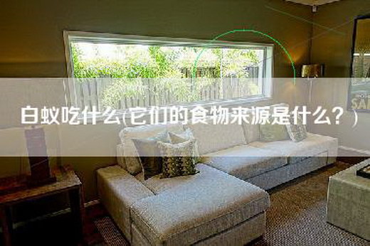白蚁吃什么(它们的食物来源是什么？)