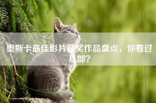 奥斯卡最佳影片获奖作品盘点，你看过几部？