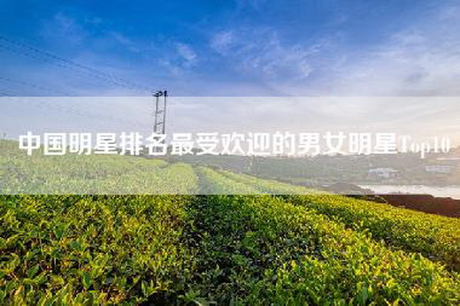 中国明星排名最受欢迎的男女明星Top10