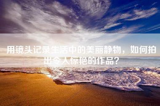 用镜头记录生活中的美丽静物，如何拍出令人惊艳的作品？