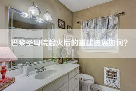 巴黎圣母院起火后的重建进展如何？