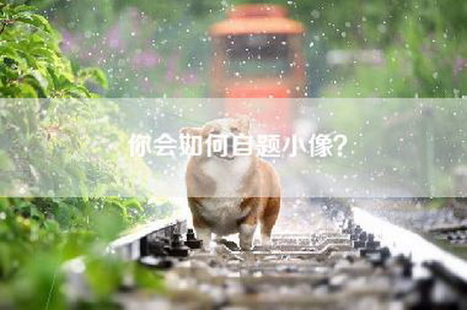 你会如何自题小像？