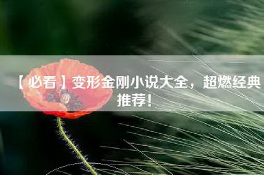 【必看】变形金刚小说大全，超燃经典推荐！