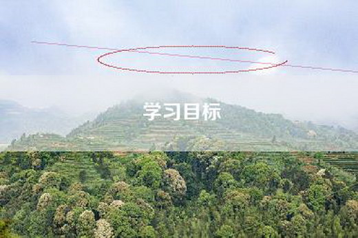 学习目标