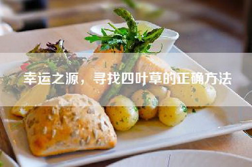 幸运之源，寻找四叶草的正确方法