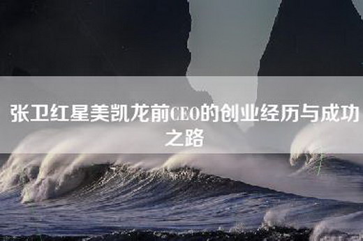 张卫红星美凯龙前CEO的创业经历与成功之路