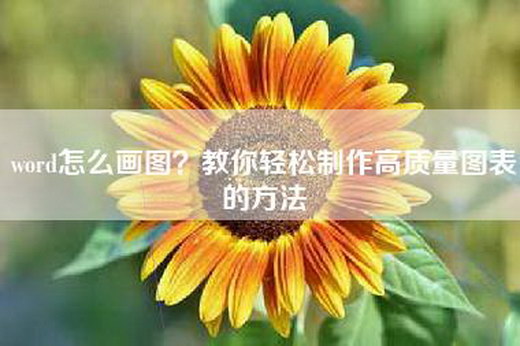 word怎么画图？教你轻松制作高质量图表的方法