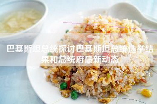 巴基斯坦总统探讨巴基斯坦总统选举结果和总统府最新动态